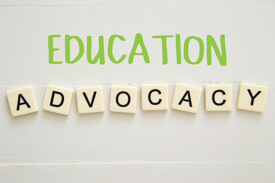 education advocacy